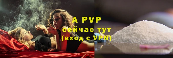 ECSTASY Абаза