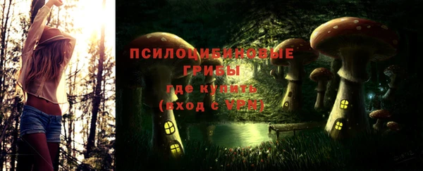 ECSTASY Абаза