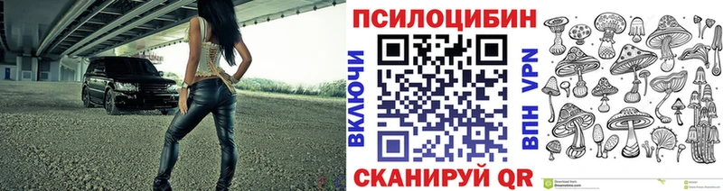 Галлюциногенные грибы Psilocybe  где найти   Кировград 